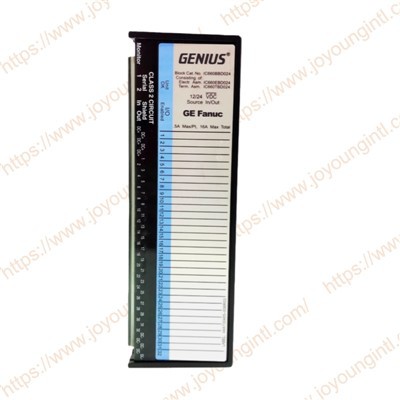 Ge Fanuc IC660BBD024 Genius 12/24v-dc V/I modul